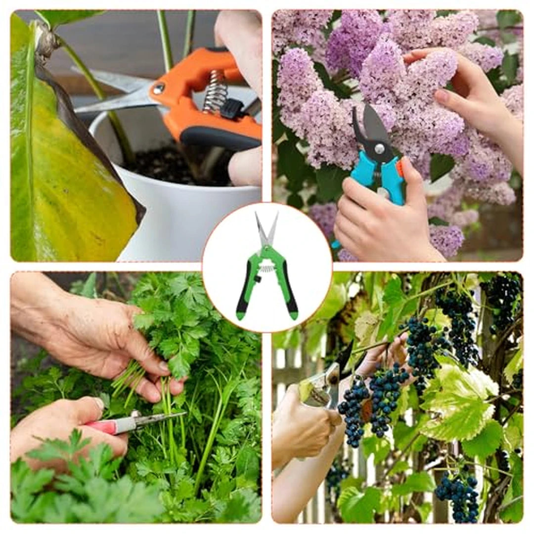 Pack X3 Tijeras De Precisión Para Jardinería Mango Ergonómico Con Resorte